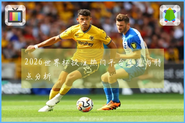 2026世界杯投注热门平台全览与特点分析