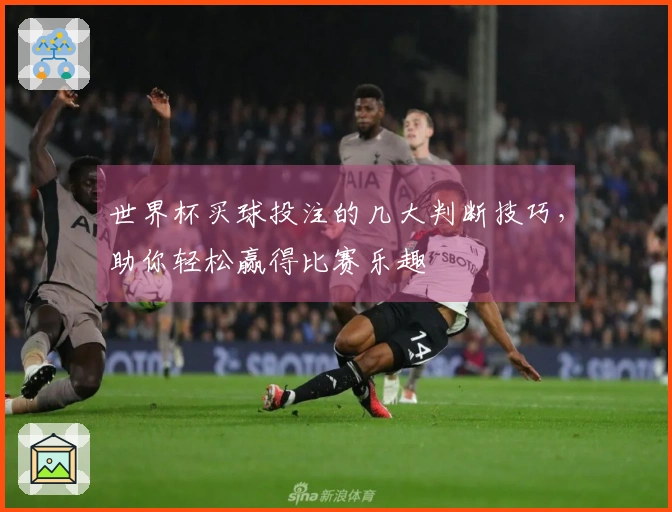 世界杯买球投注的几大判断技巧，助你轻松赢得比赛乐趣