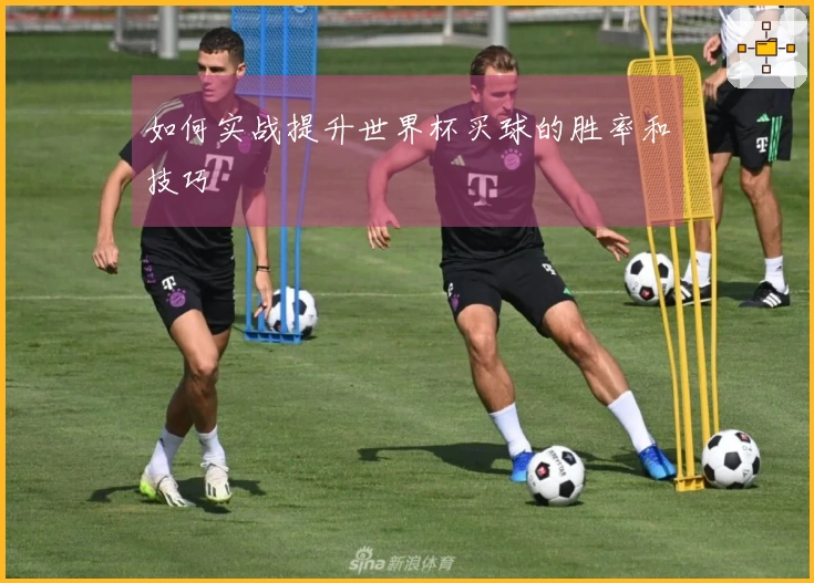 如何实战提升世界杯买球的胜率和技巧