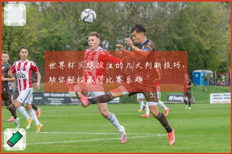 世界杯买球投注的几大判断技巧，助你轻松赢得比赛乐趣