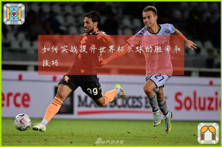 如何实战提升世界杯买球的胜率和技巧
